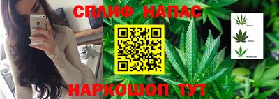 СК Балашиха