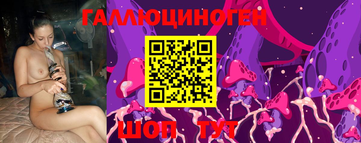 Дмитров  Псилоцибиновые грибы Psilocybe  Вход с VPN 
